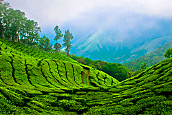 munnar