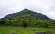 tadoba