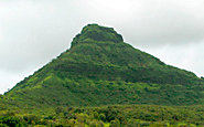 tadoba