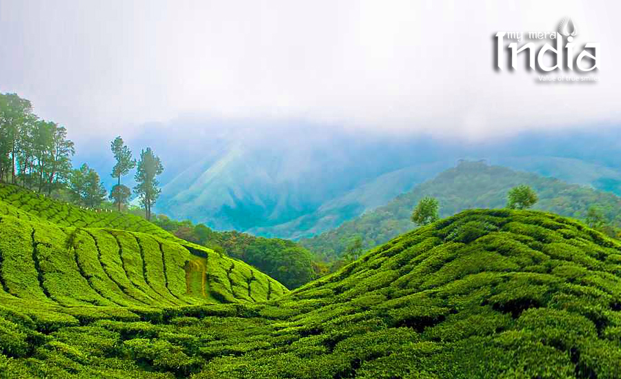 Munnar